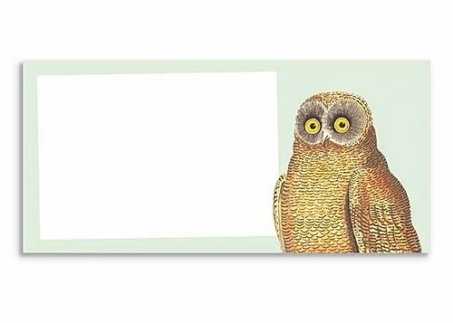 Mellow Owl Notizblock