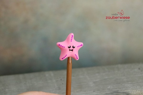 Nadelstopper Seestern