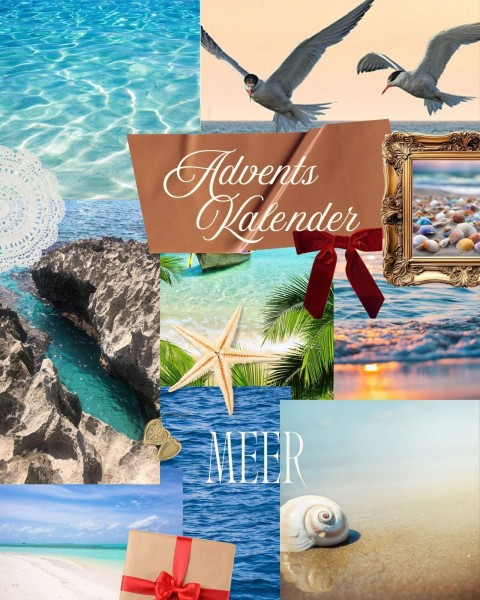 Adventskalender 2026