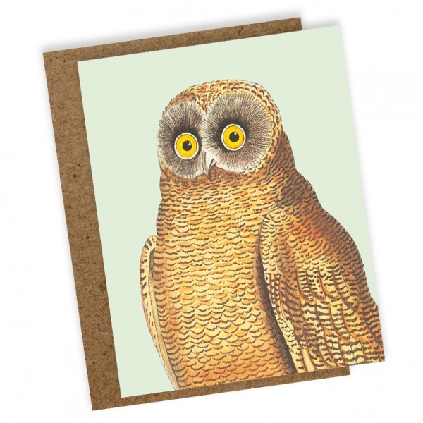 Mini Klappkarte Mellow Owl